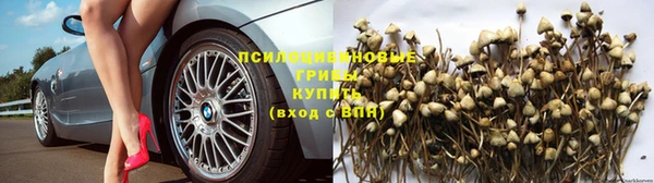 кокаин перу Алексин