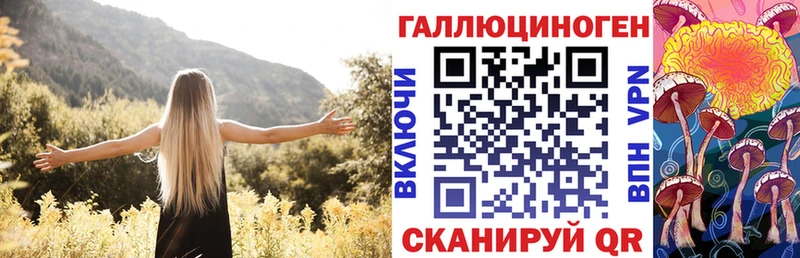 mega ONION  Гаджиево  Галлюциногенные грибы ЛСД  где найти  